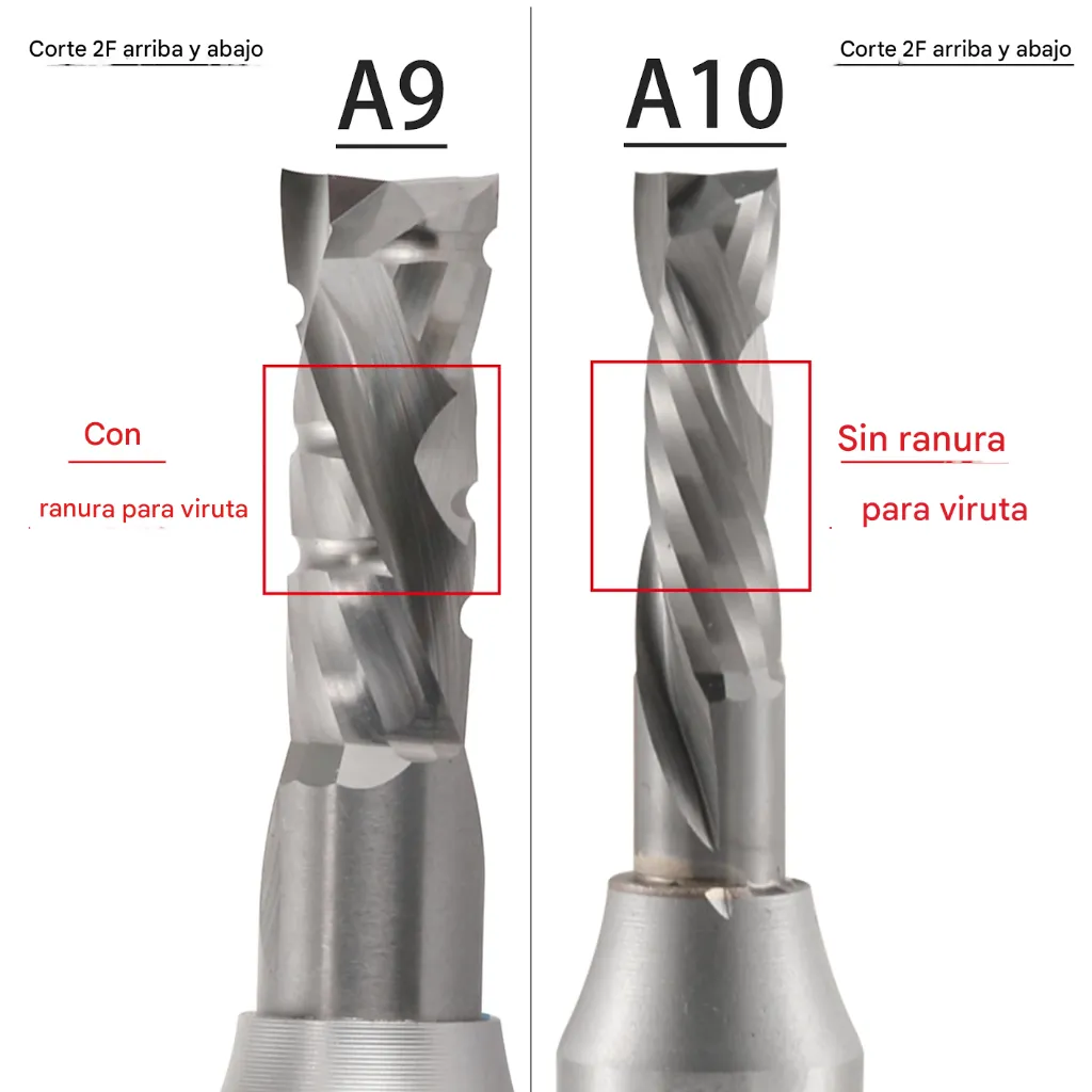 translated_image_es (8).webp