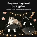Cápsula espacial para gatos